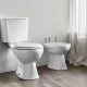 Griferia Bimando De Bidet Volante Cruz Serie Viterno Aqualia 000