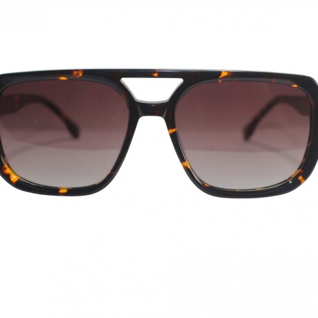 6079 Sol Carey+Marron