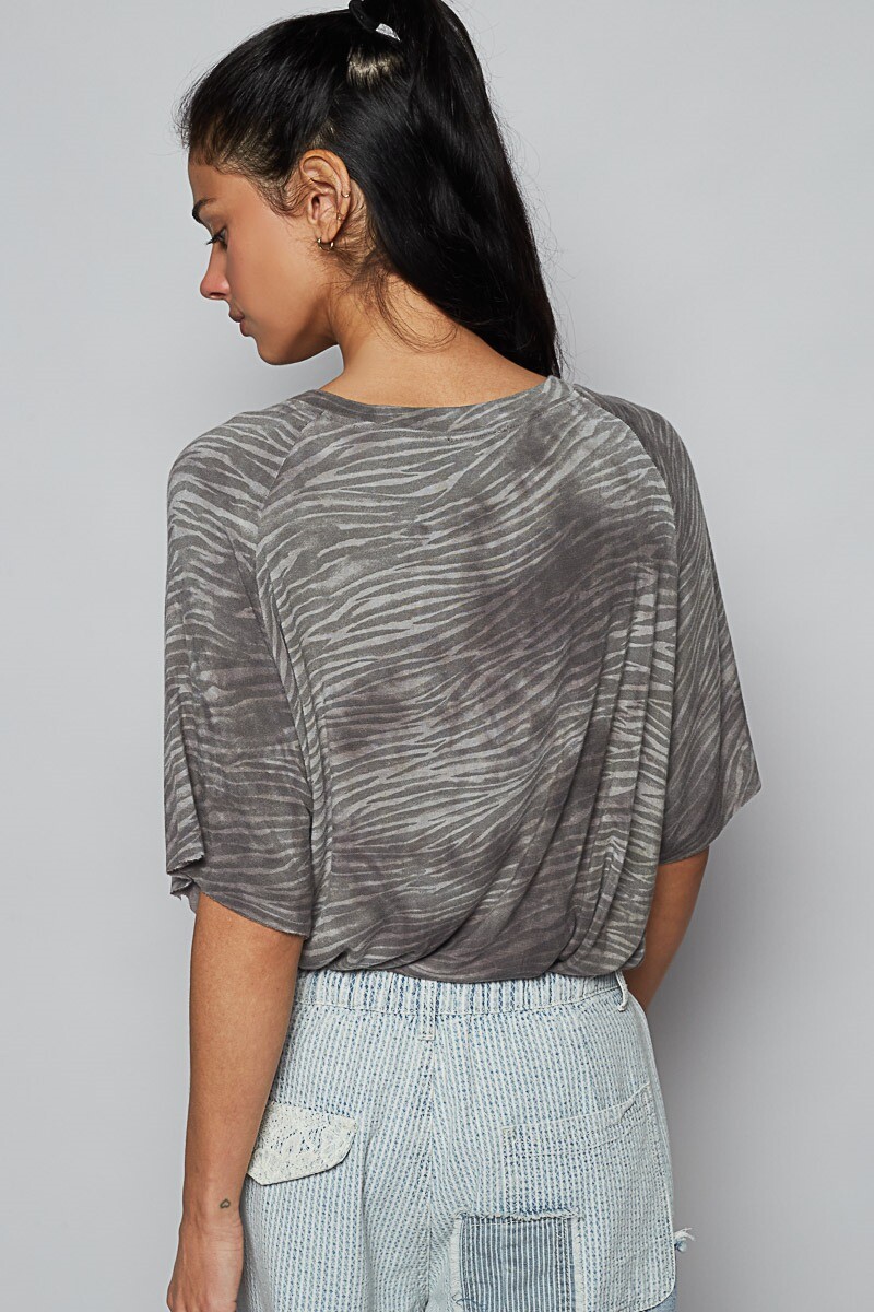 CAMISETA Cebra