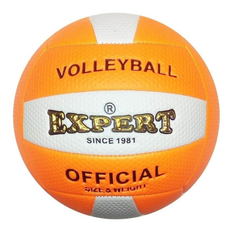 Pelota De Volleyball Expert N5 Oficial Voley Playa Pel005001