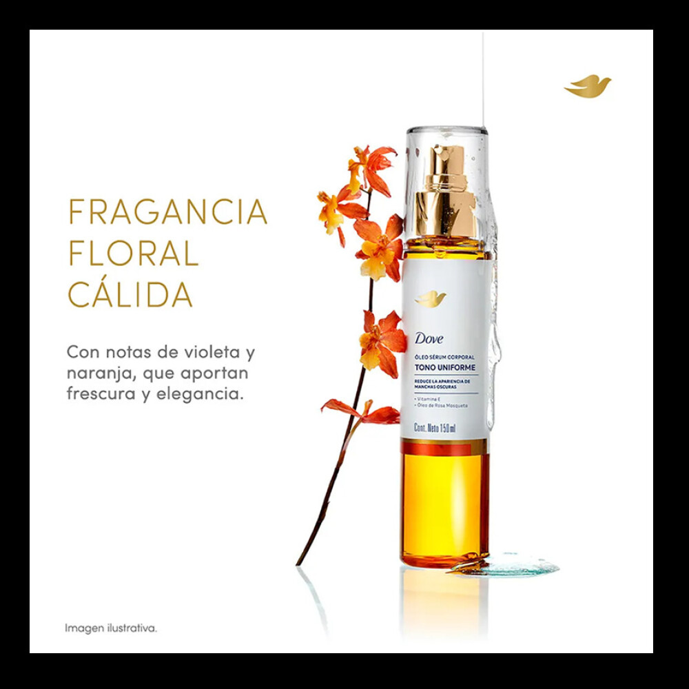 DOVE OLEO SERUM CORPORALTONO UNIFX 150 M única