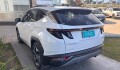 Hyundai Tucson HEV Limited - 2024 Hyundai Tucson HEV Limited - 2024