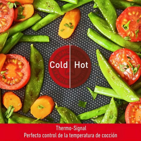 Sarten 24Cm Tefal Super-Cook Antiadherente Negro