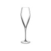 LUIGI BORMIOLI COPA ATELIER PROSECCO/CHAMPAGNE SET X 2 LUIGI BORMIOLI COPA ATELIER PROSECCO/CHAMPAGNE SET X 2