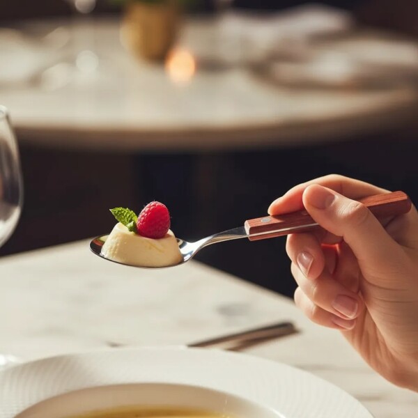 CUCHARA POSTRE POLYWOOD - 21106/470 CUCHARA POSTRE POLYWOOD - 21106/470