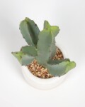 Planta artificial Cactus con maceta blanco 22 cm Planta artificial Cactus con maceta blanco 22 cm