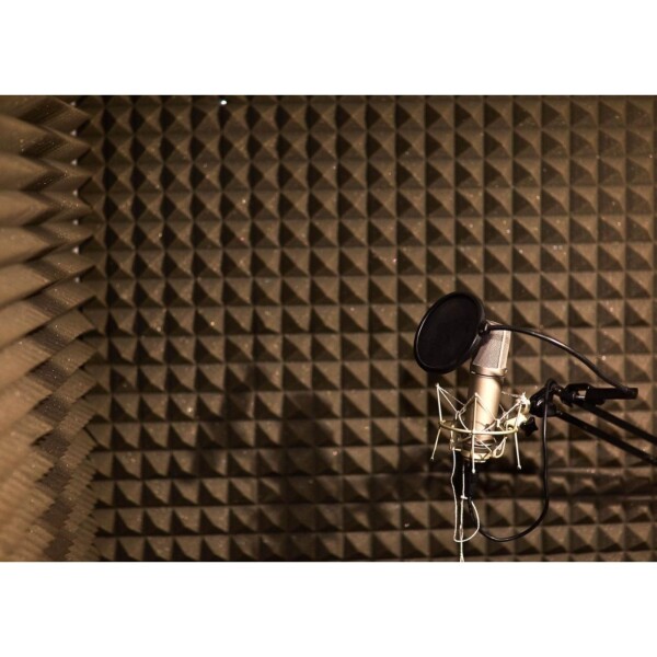 Panel Acustico Aislantes Musica Estudio Grabacion Sonido X20 Variante Panel