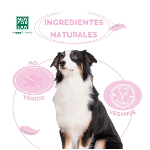 Anti Orines Perros y Gatos Spray 500 ml Anti Orines Perros y Gatos Spray 500 ml