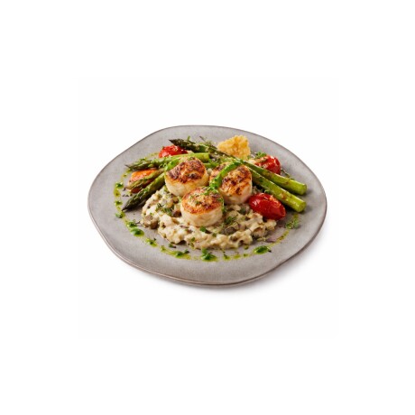 Plato Llano de Porcelana 26.2 cm Plato Llano de Porcelana 26.2 cm