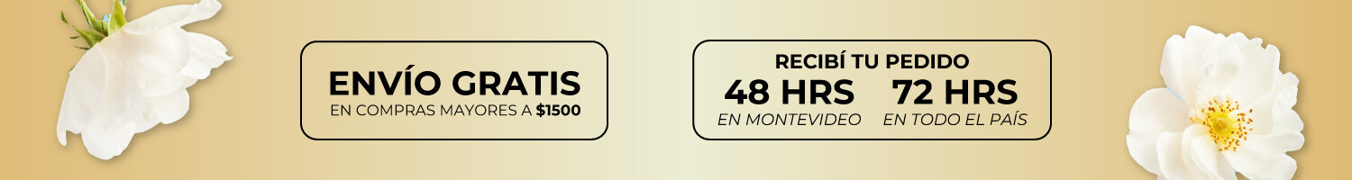 DDM FULL