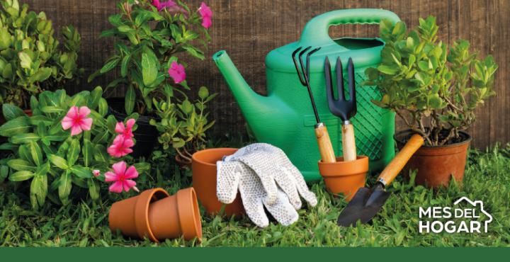 Jardinería en Casa: Beneficios y Herramientas esenciales