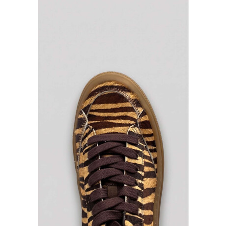 Champion Roxy Print 4