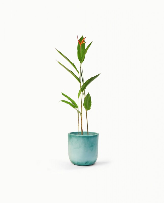 Maceta Fibrocemento c/plato - 30cm x 30cm "Modelo Manly" Maceta Fibrocemento c/plato - 30cm x 30cm "Modelo Manly"