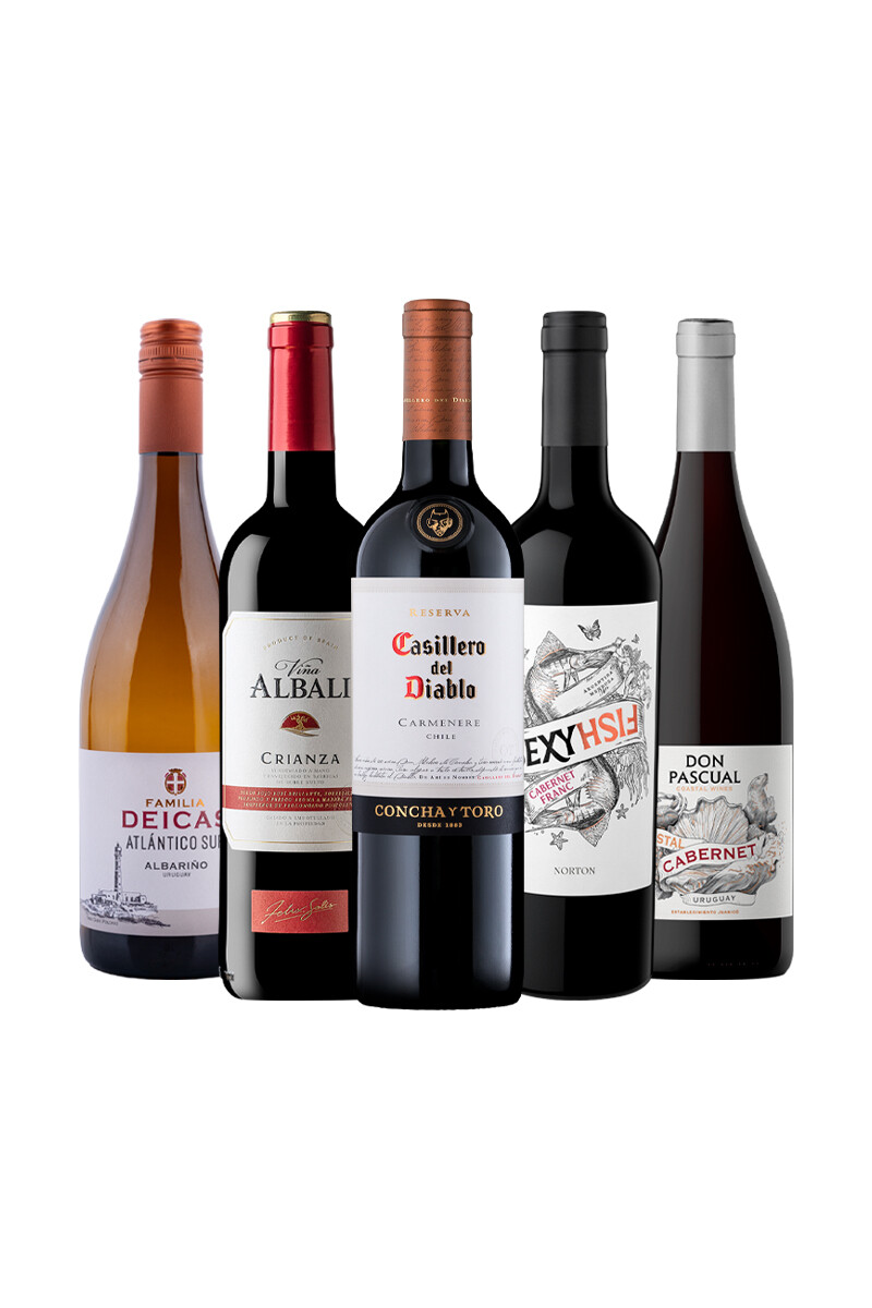 Pack Bacán Selección En equilibrio x5 vinos 