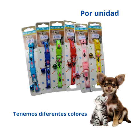 Perros - Accesorios — Vet. Las Garzas