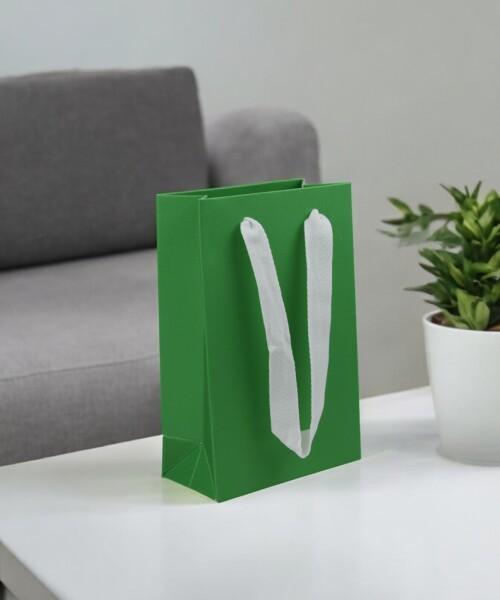 Bolsa cartulina laminada 10x05x15 cm VERDE