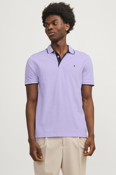 CAMISETA POLO PAULOS Purple Rose