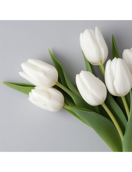 RAMO 5 TULIPANES BLANCO H31CM RAMO 5 TULIPANES BLANCO H31CM