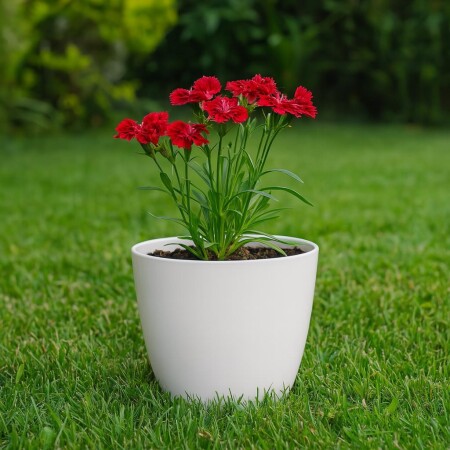 Maceta Redonda Umbra 16cm 2 litros Blanco Blanco