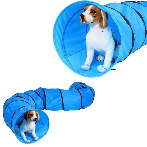 Tunel Gigante Perro Gato Mascota Redondo Tubo Interactivo Variante Color Celeste