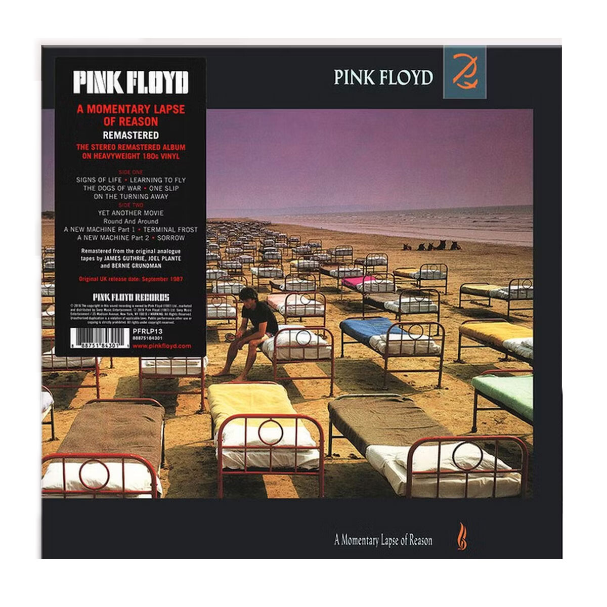 Pink Floyd A Momentary Lapse Of Reason - - Vinilo 