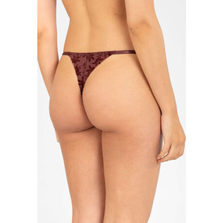 Colaless tiritas destina Bordeaux