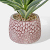 PLANTA ARTIF C/MACETERO 10X24CM Unica