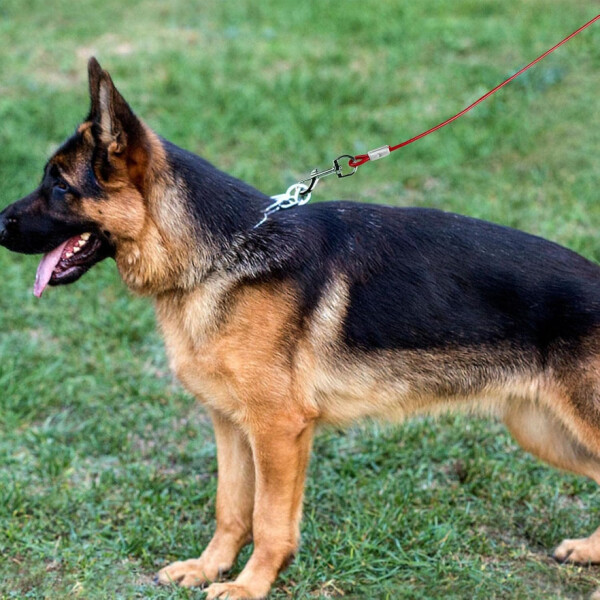 Cadena Linga 9 Metros Acero Gruesa Para Perro Mascotas Cadena Linga 9 Metros Acero Gruesa Para Perro Mascotas