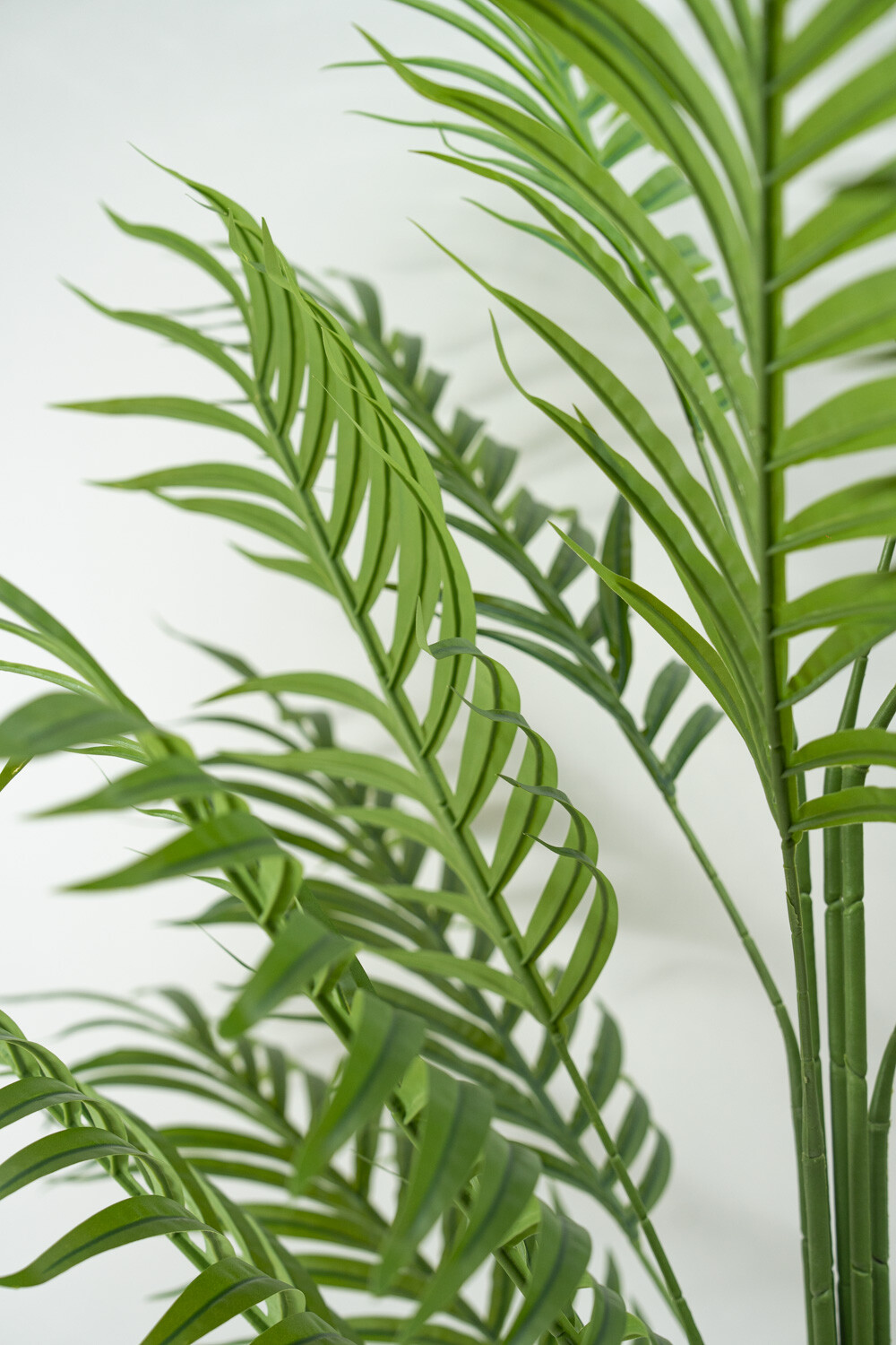 Planta Palmera Color Unico