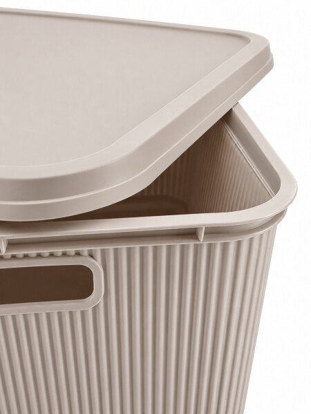 CAJA ORGANIZADORA C/ TAPA BEIGE