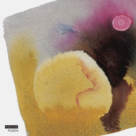 Various Artists - Pulse 2019 Vol. 2 - Vinilo Various Artists - Pulse 2019 Vol. 2 - Vinilo