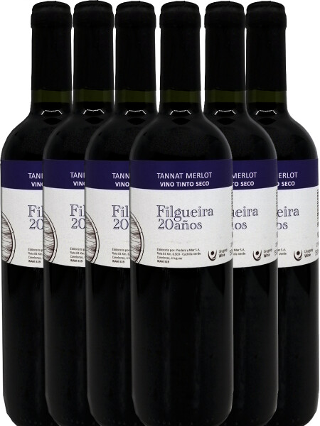 Pack Filgueira 20 años Tannat-Merlot Pack Filgueira 20 años Tannat-Merlot