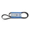 CORREA DE ALTERNADOR AIRE ACONDICIONADO BORA 1.8, 2.0 / GOLF 4 6X1195 DOBLE PK Correa De Alternador Aire Acondicionado Bora 1.8, 2.0 / Golf 4 6x1195 Doble Pk
