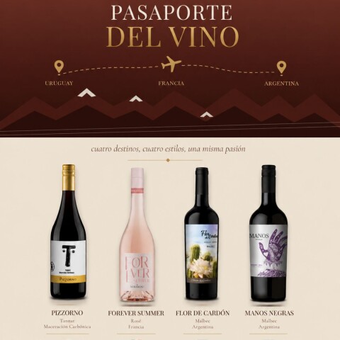 Box Pasaporte del Vino Box Pasaporte del Vino