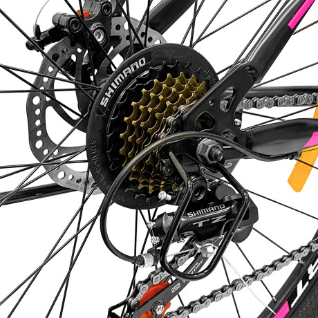Bicicleta Montaña Expert Patriot Rodado 29 Shimano con Frenos de Disco y 21 Cambios Negro