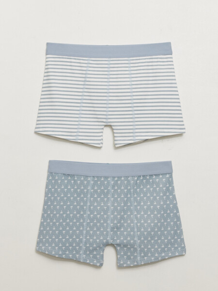 Pack x2 boxer Estampado Palmeras Gris
