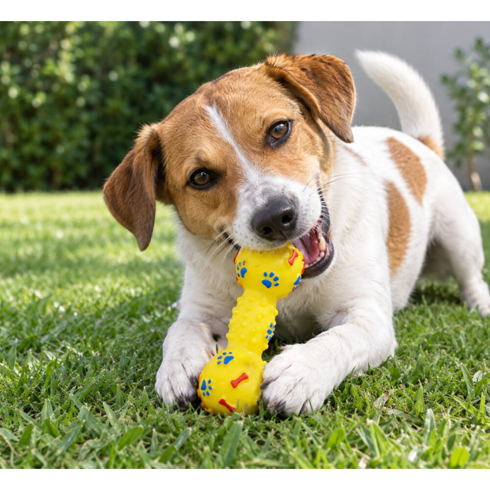 Juguete Para Perro Con Chifle Y Forma De Mancuerna AMARILLO