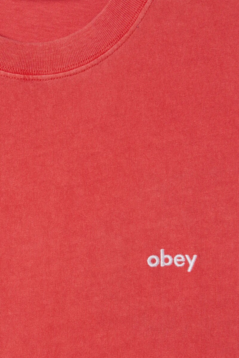 LOWERCASE PIGMENT TEE SS Rojo