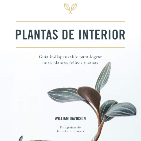 PLANTAS DE INTERIOR PLANTAS DE INTERIOR