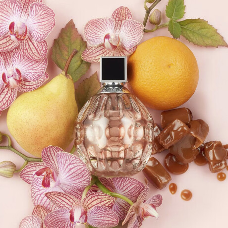 Perfume Jimmy Choo Eau De Parfum 100ml Original Perfume Jimmy Choo Eau De Parfum 100ml Original