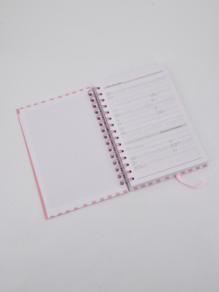 AGENDA GOOD DAY 2027 ROSA CHICLE