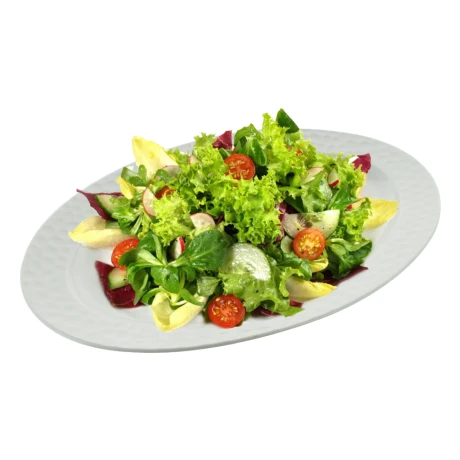 BANDEJA CERAMICA BCA OVAL BORDE LABRADO PANEL DE ABEJA 30.7X21CM 23974 BANDEJA CERAMICA BCA OVAL BORDE LABRADO PANEL DE ABEJA 30.7X21CM 23974