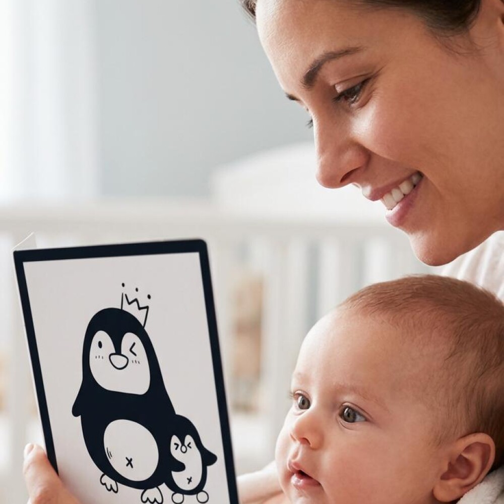 Set 32 tarjetas estimulación visual contraste para bebé Set 32 tarjetas estimulación visual contraste para bebé