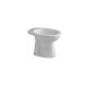 Sanitario Bidet Andina Blanco Brillo Para Baño Loza