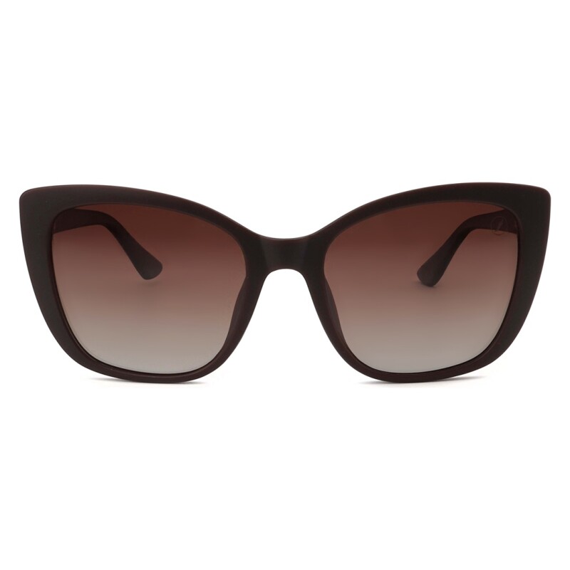 Lentes de Sol Chilli Beans Florida Cat Marrón Matte