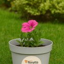 MACETA REDONDA FLORATTA 16,5 LITROS GRIS REF 8502 ARE GRIS