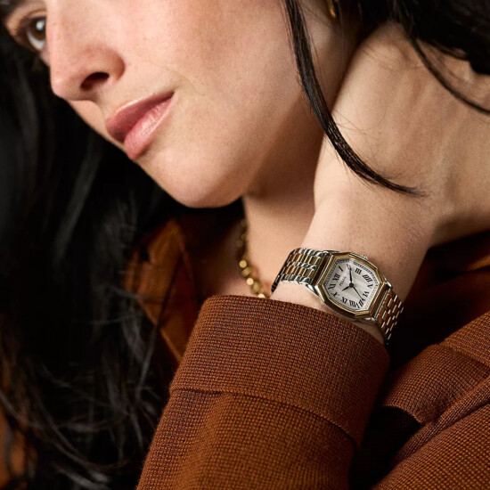 Reloj FOSSIL HARLOW Acero Combinado Esfera 27mm 0