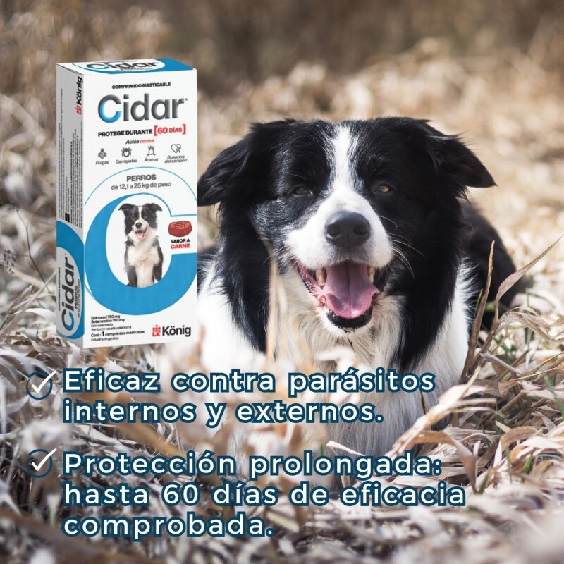 CIDAR PASTILLA ANTIPULGAS Y ANTIGARRAPATAS KONIG 12.1 A 25 KG