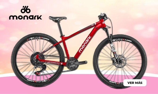 BICIS