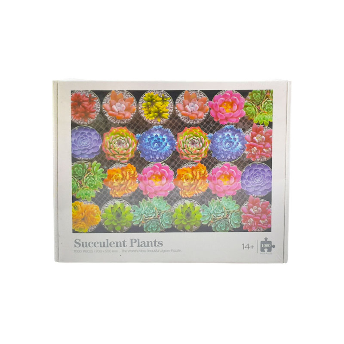 3X2 OUTLET Puzzle 1000pcs Plantas suculentas 25.5x20x5cm - 3x2 Outlet Puzzle 1000pcs Plantas Suculentas 25.5x20x5cm 